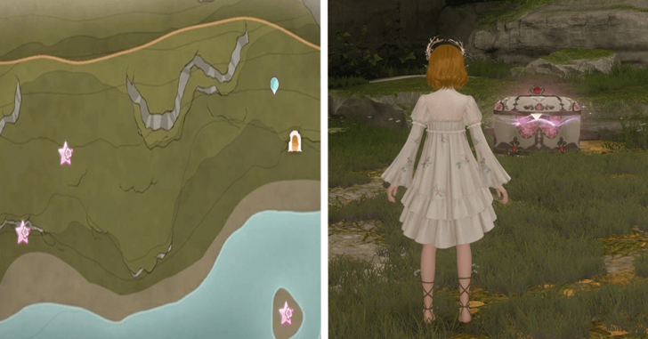 Florawish Treasure Chest 42