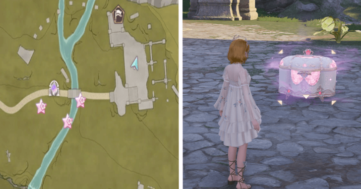 Florawish Treasure Chest 44