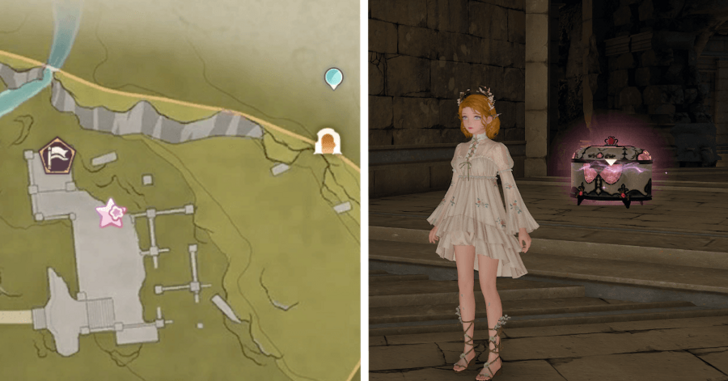 Florawish Treasure Chest 45