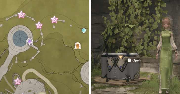 Florawish Treasure Chest 46