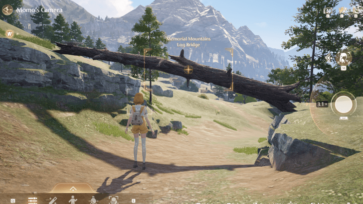 Memorial Mountains Log Bridge Photo Angle