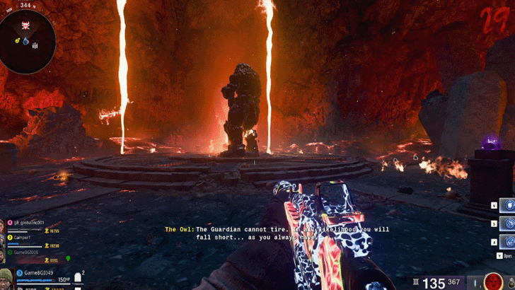 Guardian Immunity Phase