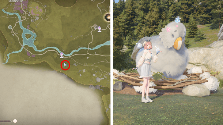 Sky Monarch Location