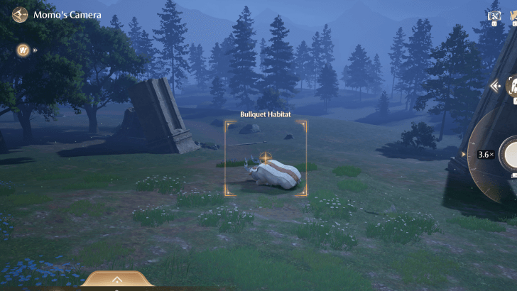 Bullquet Habitat Photo Angle