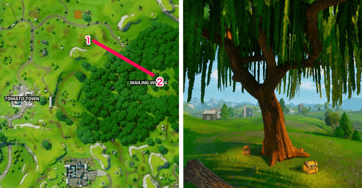 Wailing Woods Big Tree