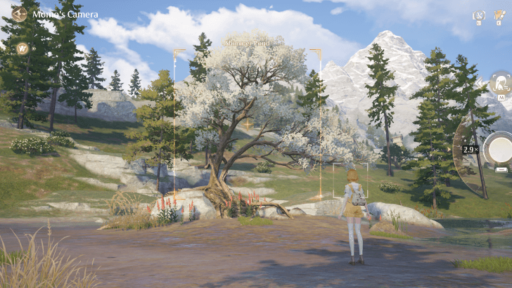 Shimmer Pond Photo Angle