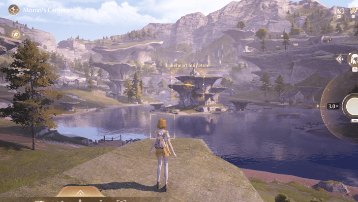 Lakeheart Stonetree Photo Angle