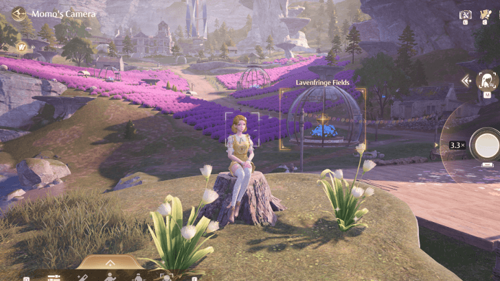 Lavenfringe Fields Photo Angle