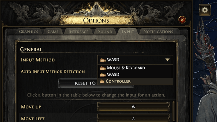 POE 2 - Input options