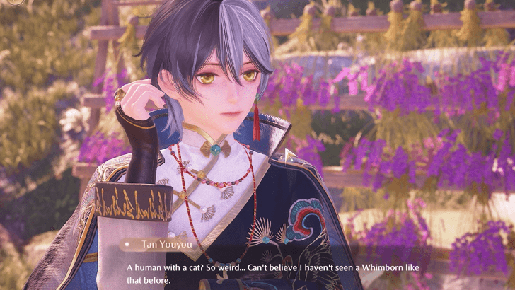 First Meeting Tan Youyou