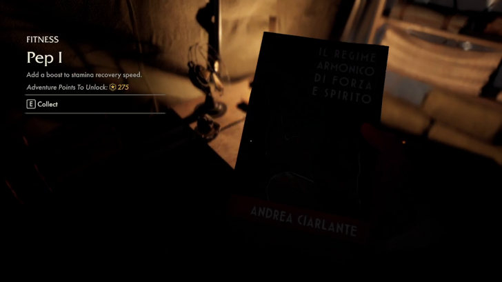 Stamina Adventure Books