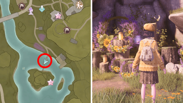 Infinity Nikki Wish Collector