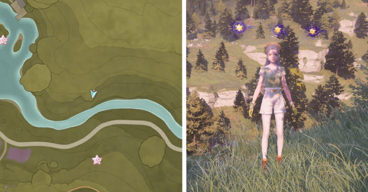 Stoneville Dew 50-52