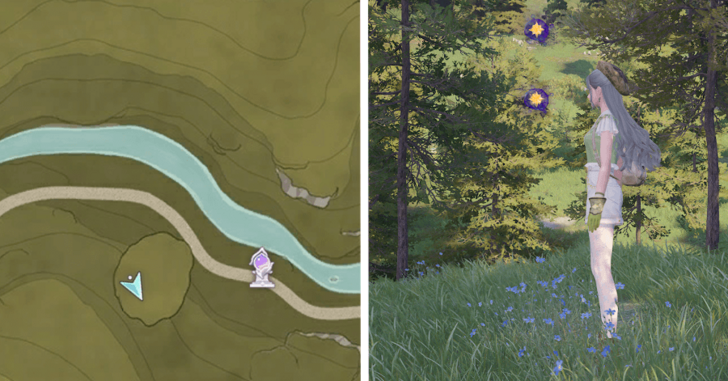 Stoneville Dew 46-47