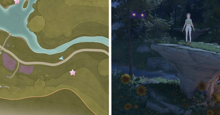 Stoneville Dew 53-54