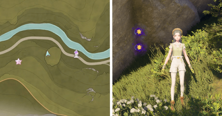 Stoneville Dew 48-49