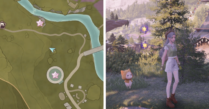 Stoneville Dew 69-70