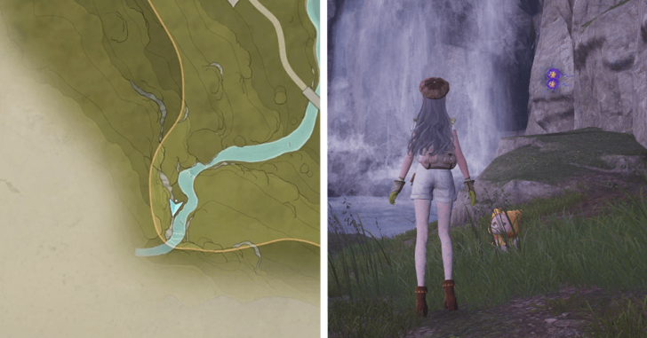 Stoneville Dew 62-63