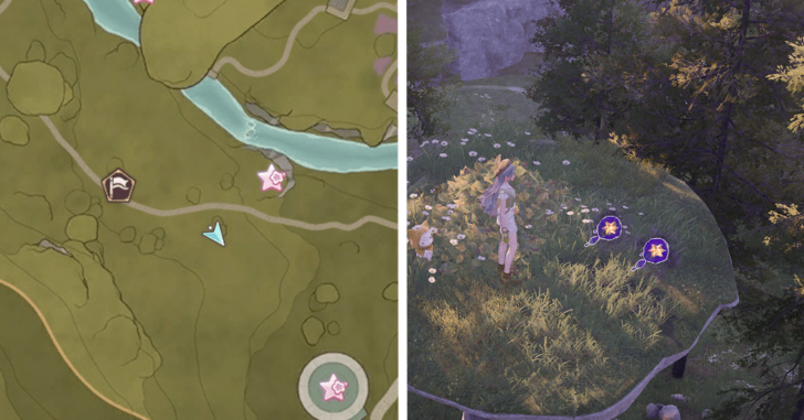 Stoneville Dew 71-72