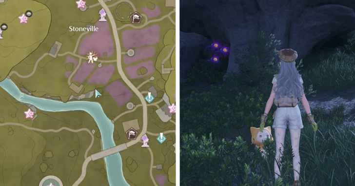 Stoneville Dew 75-77