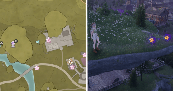 Stoneville Dew 89-90