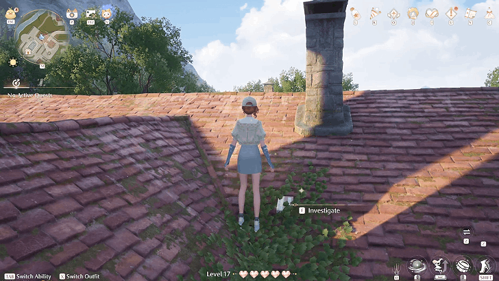 Investigate the Leaves