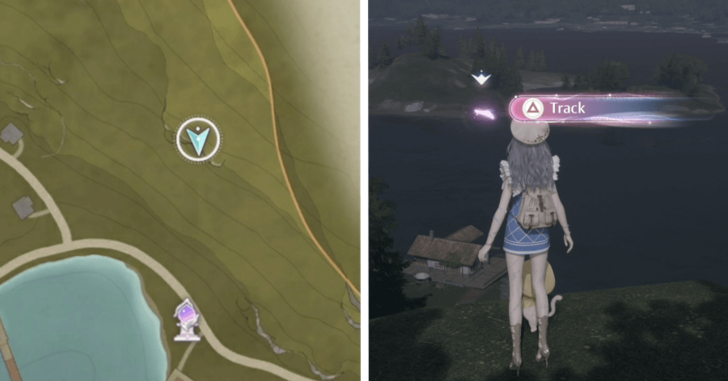 Whimstar Florawish 8