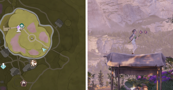 Stoneville Dew 105-106