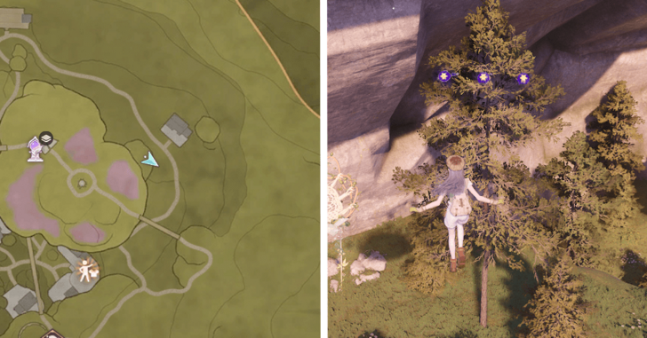 Stoneville Dew 98-100