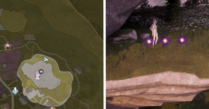 Stoneville Dew 96-97