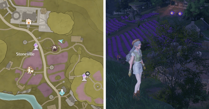 Stoneville Dew 94-95