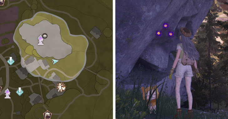 Stoneville Dew 103-104