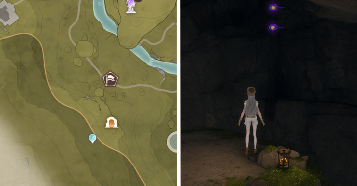 Stoneville Dew 116-117