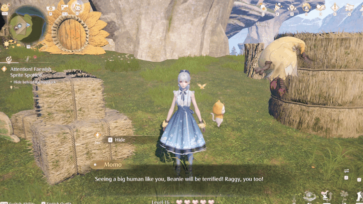 Hide Behind the Haystack