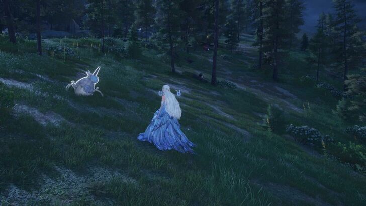 Spear Sack Florawish Overworld Location