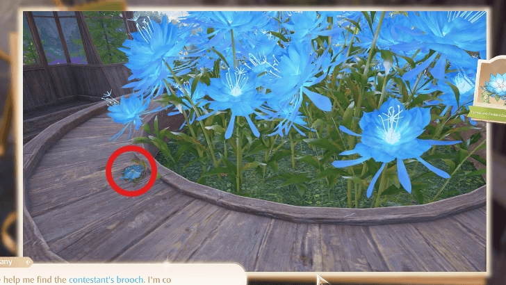 Photo Investigation - Find the Contestant