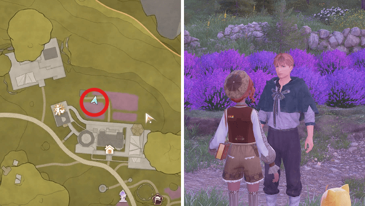 Photo Investigation: Lost Sheep - Quest Location