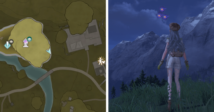 Stoneville Dew 135-137