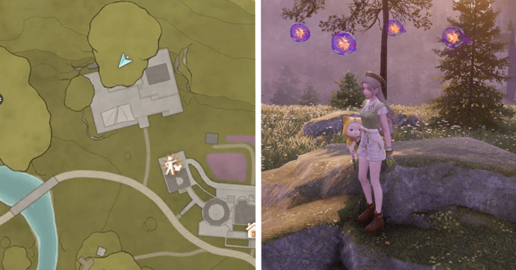 Stoneville Dew 140-143