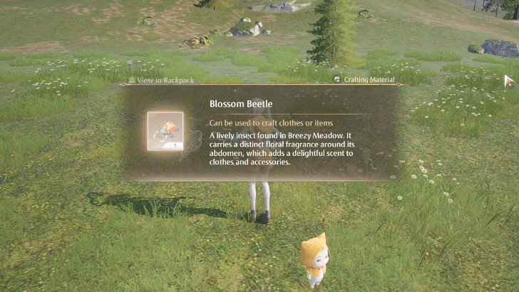 Catching Blossom Beetles