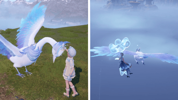 Infinity Nikki Groom the Astral Swan and Fly With it