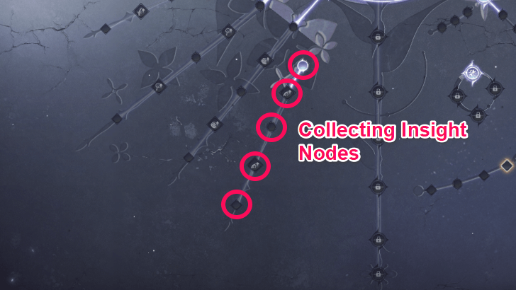 Collection Insight Nodes