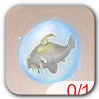 Whisker Fish Essence