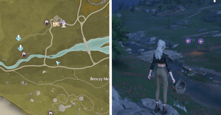 Breezy Meadow Dew 303-304