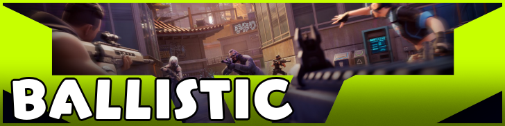 Fortnite Ballistic Partial Banner
