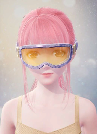 Trusted Protection Image