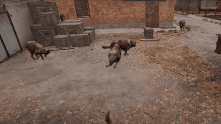 All That is Left Dogs