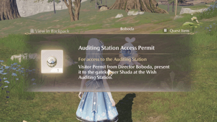 Auditing Station Access Permit