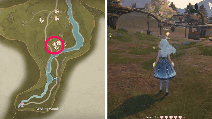 Go to the Wish Inspection Center