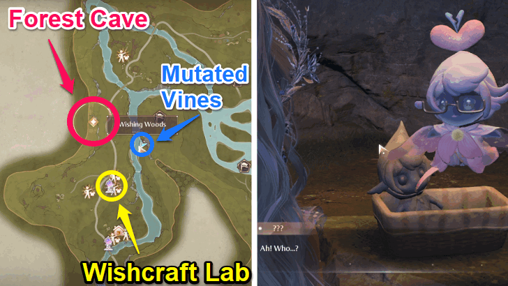 Go to the Forest Cave Near the Research Institute